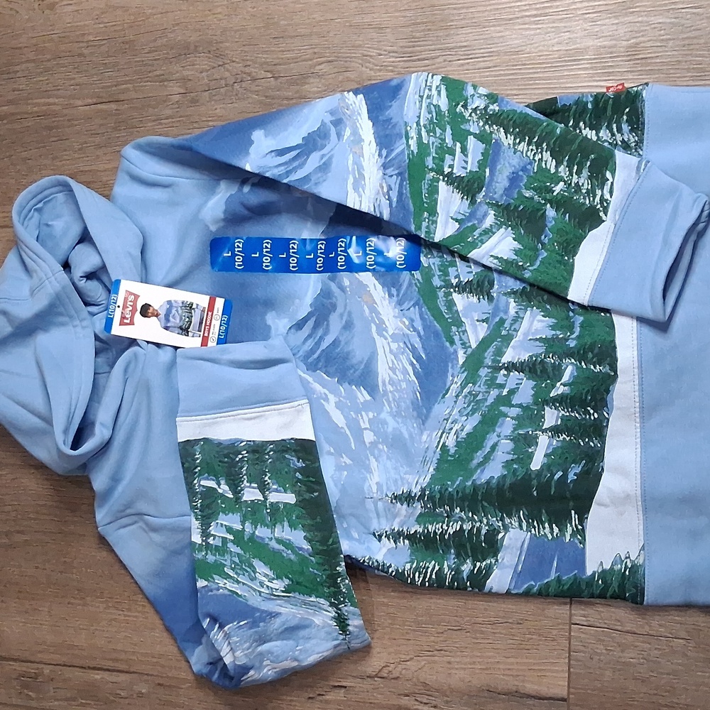 Levi's Boys Size L (10/12) Fleece Hoodie  Blue Mountain Landscape NWT